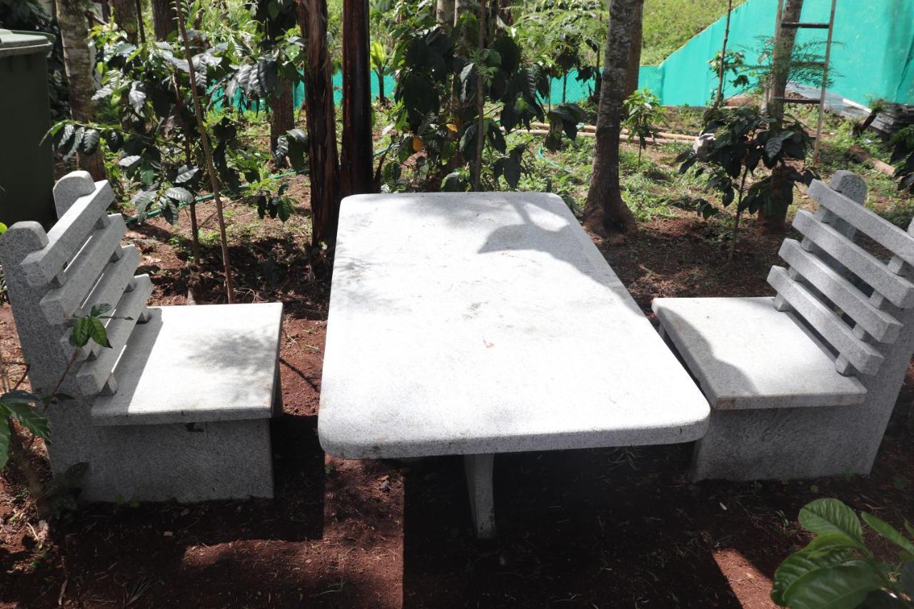 ירקאוד Pine Villa Garden מראה חיצוני תמונה